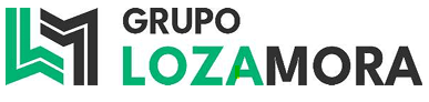 Badi Logo